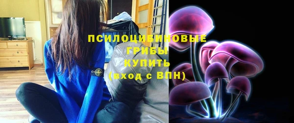 круглые Алексеевка