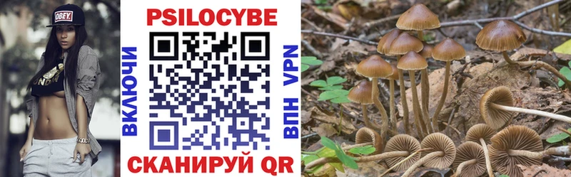 цена наркотик  blacksprut ссылка  Галлюциногенные грибы Psilocybe  Лебедянь 